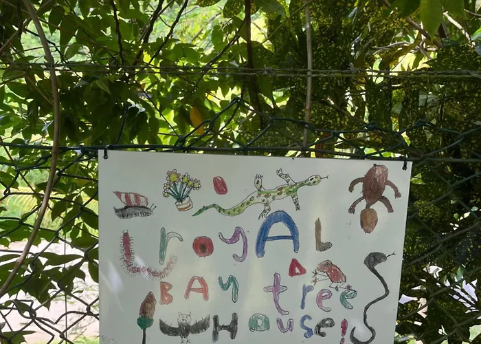 Royal Bay And *